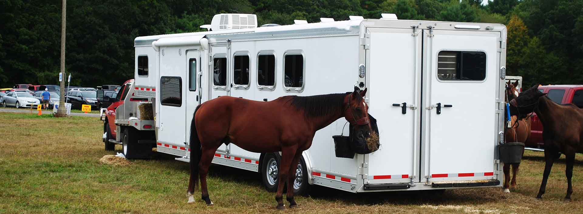 We sell Lakota trailers in Scribner, NE